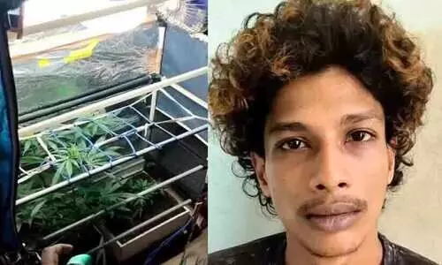 തിരുവനന്തപുരത്തെ വീട്ടിൽ ഹൈടെക് കഞ്ചാവ് തോട്ടം, കൃത്രിമ പ്രകാശം, എക്സ്ഹോസ്റ്റ് ഫാൻ; യുവാവ് അറസ്റ്റിൽ