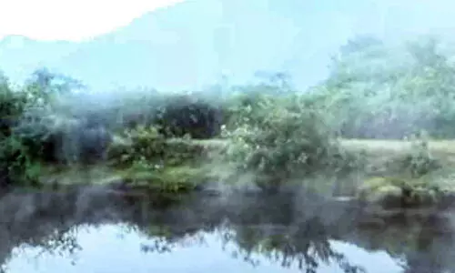 മഞ്ഞു പുതച്ച് മൂന്നാർ; കോടമഞ്ഞും തണുപ്പും ആസ്വദിക്കാൻ വിനോദസഞ്ചാരികളുടെ ഒഴുക്ക്