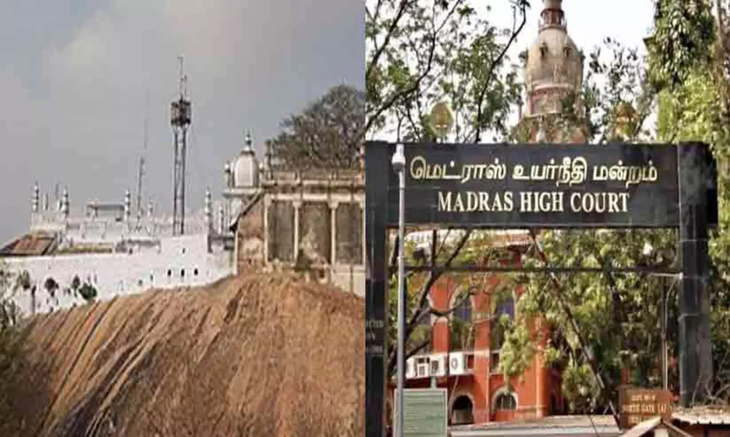 തിരുപ്പറകുൺറം ദർഗയിൽ ചന്ദനക്കുടത്തിന് വിലക്കില്ലെന്ന് മദ്രാസ് ഹൈകോടതി; സംഘ്പരിവാരിന്റെ ഹരജി തള്ളി