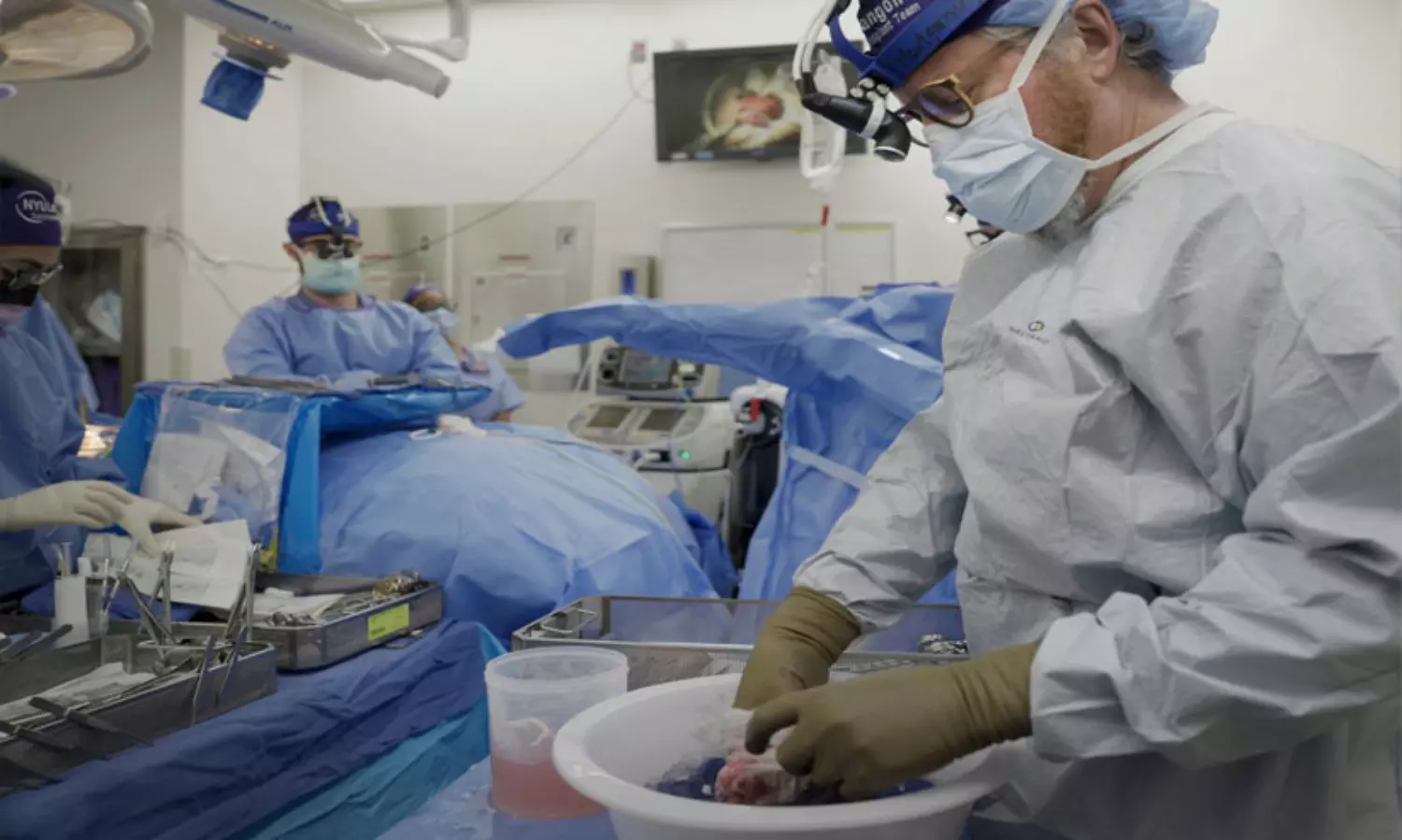 പന്നിയുടെ അവയവങ്ങൾ മനുഷ്യ ദാതാക്കളേക്കാൾ മികച്ചതാവുന്ന ഒരു നാൾ വരുമെന്ന് ശസ്‍ത്രക്രിയാ വിദഗ്ധൻ