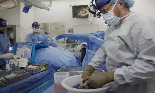 പന്നിയുടെ അവയവങ്ങൾ മനുഷ്യ ദാതാക്കളേക്കാൾ മികച്ചതാവുന്ന ഒരു നാൾ വരുമെന്ന് ശസ്‍ത്രക്രിയാ വിദഗ്ധൻ