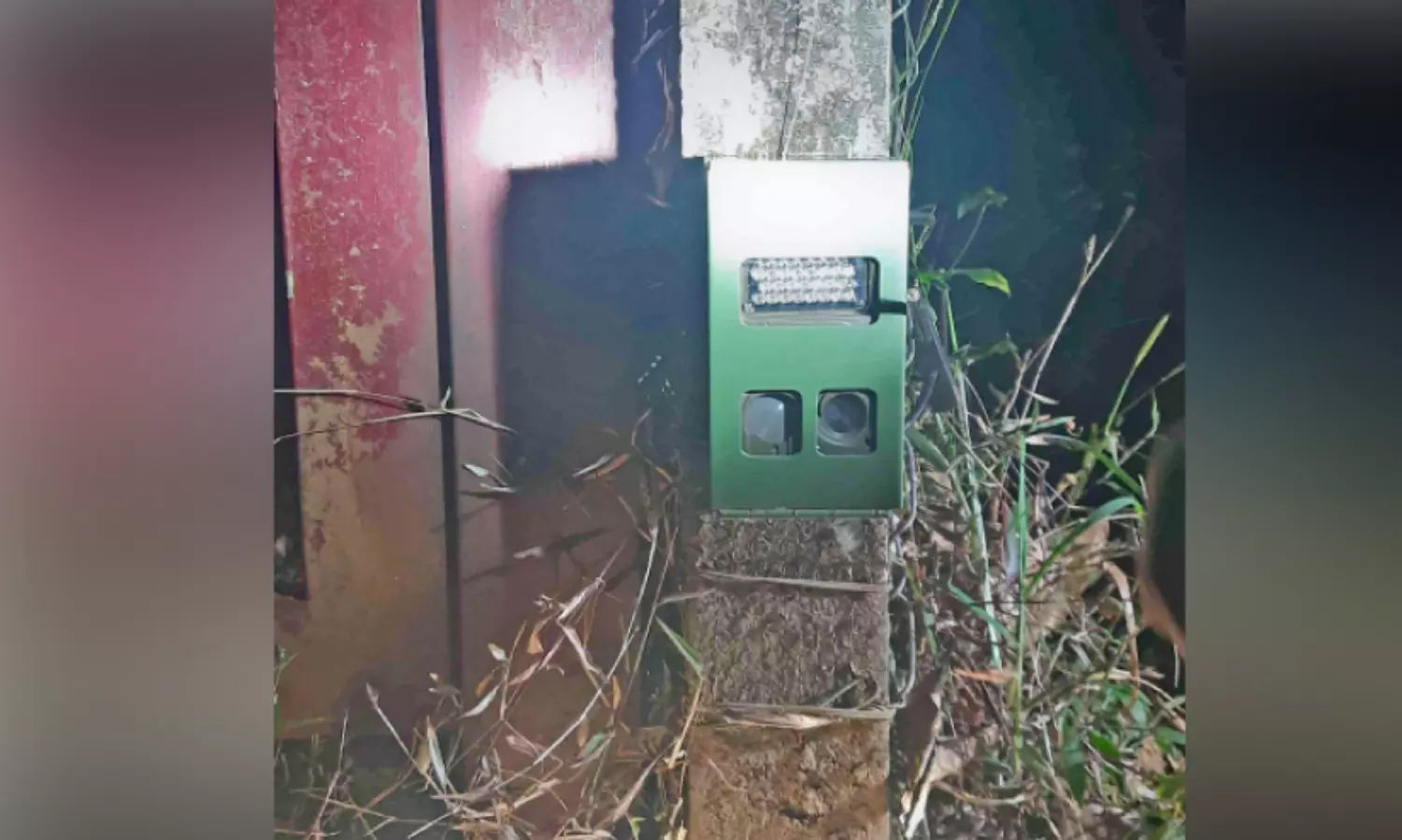 പുലിഭീതി ഒഴിയാതെ കോളയാട് ജനവാസ കേന്ദ്രം