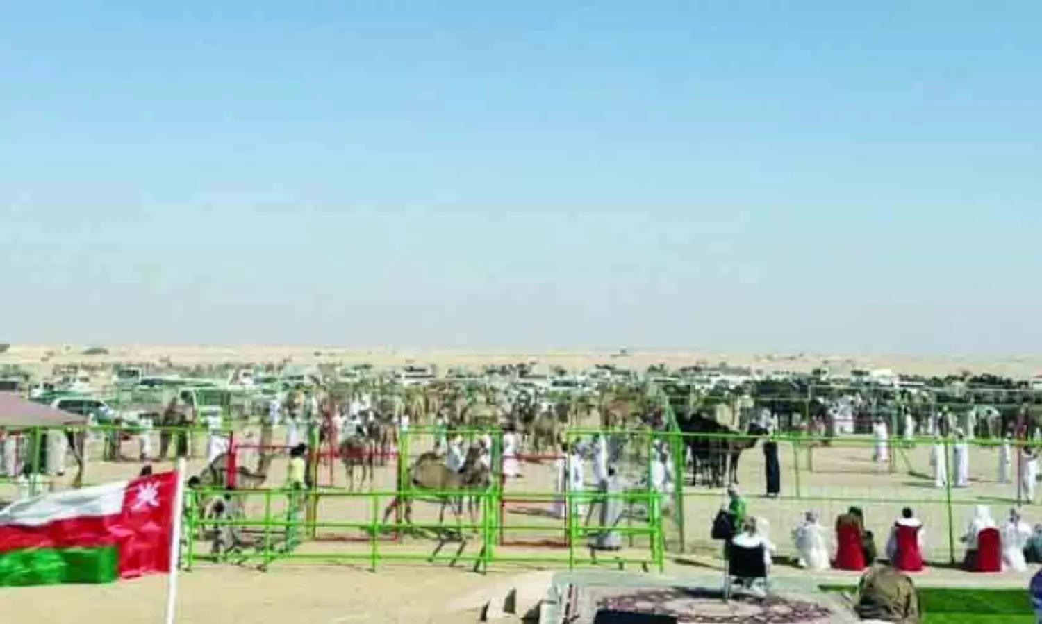 ശൈ​ത്യ​കാ​ല വി​നോ​ദ​ങ്ങ​ളി​ൽ ഗ്രാ​മ​ങ്ങ​ൾ; തും​റൈ​ത്തി​ൽ ഒ​ട്ട​ക സൗ​ന്ദ​ര്യ മ​ത്സ​രം