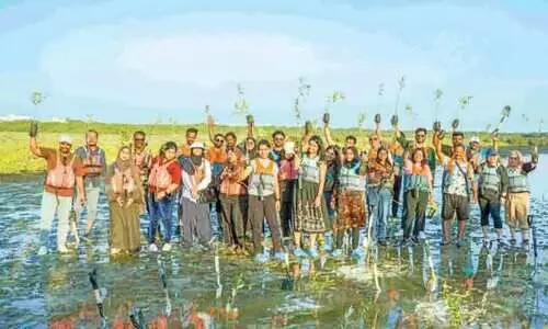 പ​രി​സ്ഥി​തി സം​ര​ക്ഷ​ണ​ത്തി​ന്​ പി​ന്തു​ണ; അ​ജ്‌​മാ​നി​ൽ ക​ണ്ട​ൽ​തൈ​ക​ൾ ന​ട്ട്​ ഹോ​ട്ട്​​പാ​ക്​ ജീ​വ​ന​ക്കാ​ർ