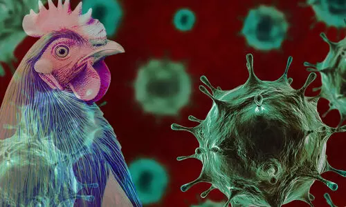 പക്ഷിപ്പനി പ്രഭവകേന്ദ്രത്തിന് 10 കിലോമീറ്റര്‍ ചുറ്റളവിൽ മുട്ട, ഇറച്ചി വ്യാപാരത്തിന്​ നിരോധനം