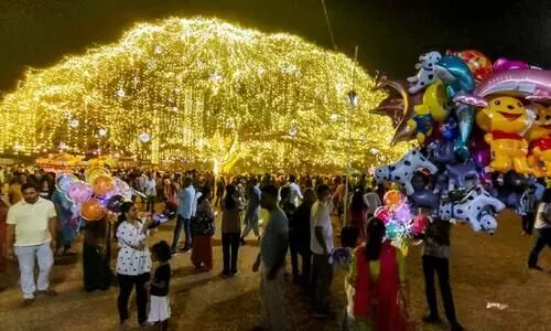 ഏഷ്യയിലെ ഏറ്റവും വലിയ നാചുറൽ ക്രിസ്മസ് ട്രീ മിഴിതുറന്നു