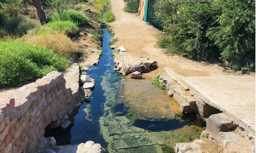 യാം​ബു ഉ​റ​വ​​ക​ൾ സ​ന്ദ​ർ​ശ​ക​രെ ആ​ക​ർ​ഷി​ക്കു​ന്നു