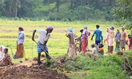 ഉറപ്പിന് തൊഴി; കേന്ദ്ര പദ്ധതിയില്ല, ഇനി കേന്ദ്രാവിഷ്കൃത പദ്ധതി