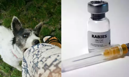 ഇന്ത്യയുടെ ആന്റി റാബിസ് വാക്സിൻ വ്യാജമെന്ന് ആസ്ട്രേലിയയുടെ മുന്നറിയിപ്പ്; വെല്ലുവിളിച്ച് വാക്സിൻ നിർമാതാവ്