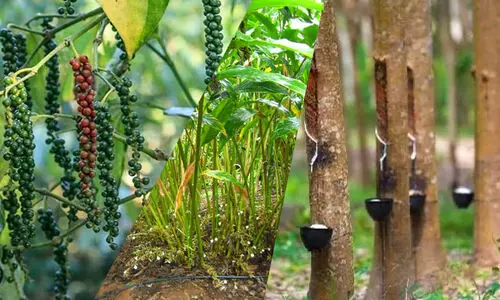 Representation image