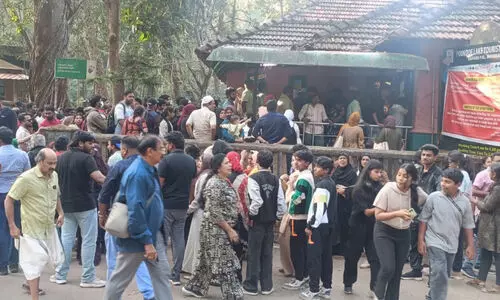 ക്രി​സ്മ​സ് അ​വ​ധി​യി​ൽ നി​റ​ഞ്ഞുക​വി​ഞ്ഞ് വ​യ​നാ​ട്