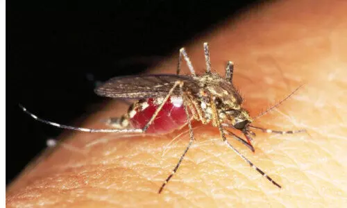 കൊ​തു​ക്​ വ്യാ​പ​നം: ജാ​ഗ്ര​ത വേ​ണ​മെ​ന്ന്​ ആ​രോ​ഗ്യ​മ​ന്ത്രാ​ല​യം; മാ​ർ​ഗ​നി​ർ​ദേ​ശ​ങ്ങ​ൾ പു​റ​ത്തി​റ​ക്കി