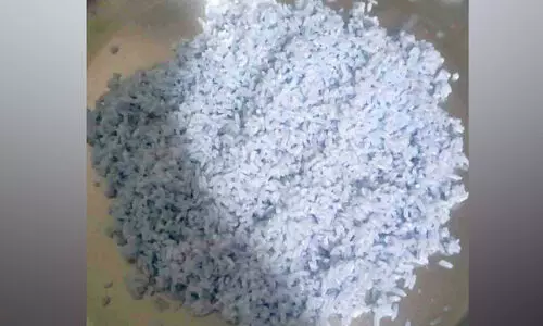 റേഷൻ പച്ചരിക്ക് നീല നിറം റേഷൻ പച്ചരിക്ക് നീല നിറം