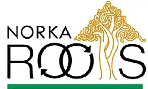 norka roots