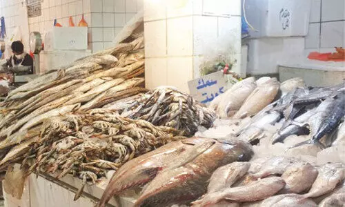 മു​ബാ​റ​ക്കി​യ മ​ത്സ്യ മാ​ർ​ക്ക​റ്റ് മാ​റ്റി​സ്ഥാ​പി​ക്കും