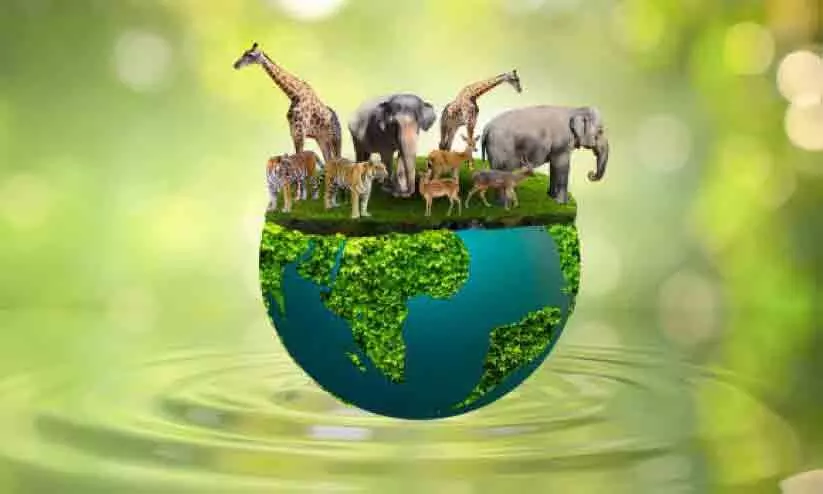 ജൈവവൈവിധ്യ സംരക്ഷണത്തിൽ മാതൃക; വന്യജീവി ദിനാഘോഷവുമായി രാജ്യം ജൈവവൈവിധ്യ സംരക്ഷണത്തിൽ മാതൃക; വന്യജീവി ദിനാഘോഷവുമായി രാജ്യം