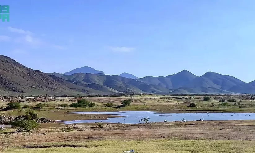 പ​ച്ച​പു​ത​ച്ച് മ​ക്ക​യി​ലെ മ​ല​നി​ര​ക​ൾ; ഇ​ക്കോ ടൂ​റി​സം ല​ക്ഷ്യ​സ്ഥാ​ന​ങ്ങ​ളാ​യി മാ​റു​ന്നു