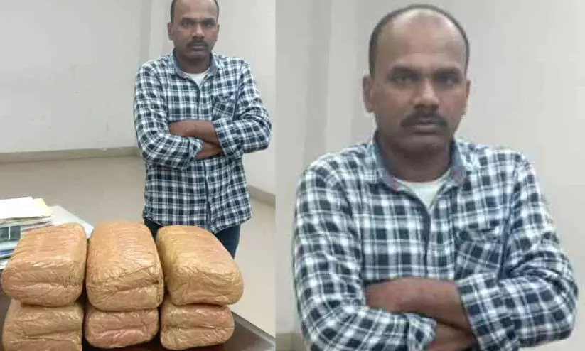 കേരളത്തിലേക്ക് കടത്താൻ ശ്രമിച്ച 12 കിലോ കഞ്ചാവ് പിടികൂടി