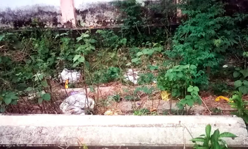 പടിഞ്ഞാറ്റേക്കരയിൽ മാലിന്യം തള്ളുന്നത് പതിവ്