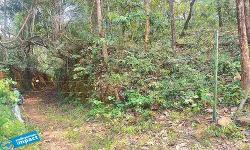 നായാട്ടുകുണ്ടിലെ തകര്‍ന്ന സോളാര്‍ വേലി പുനസ്ഥാപിച്ചു