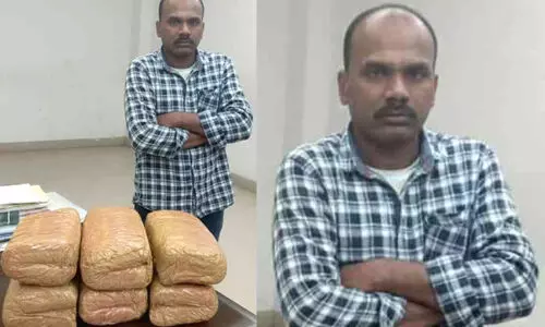 കേരളത്തിലേക്ക് കടത്താൻ ശ്രമിച്ച 12 കിലോ കഞ്ചാവ് പിടികൂടി