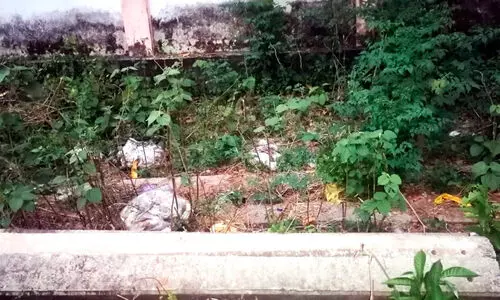 പടിഞ്ഞാറ്റേക്കരയിൽ മാലിന്യം തള്ളുന്നത് പതിവ് പടിഞ്ഞാറ്റേക്കരയിൽ മാലിന്യം തള്ളുന്നത് പതിവ്