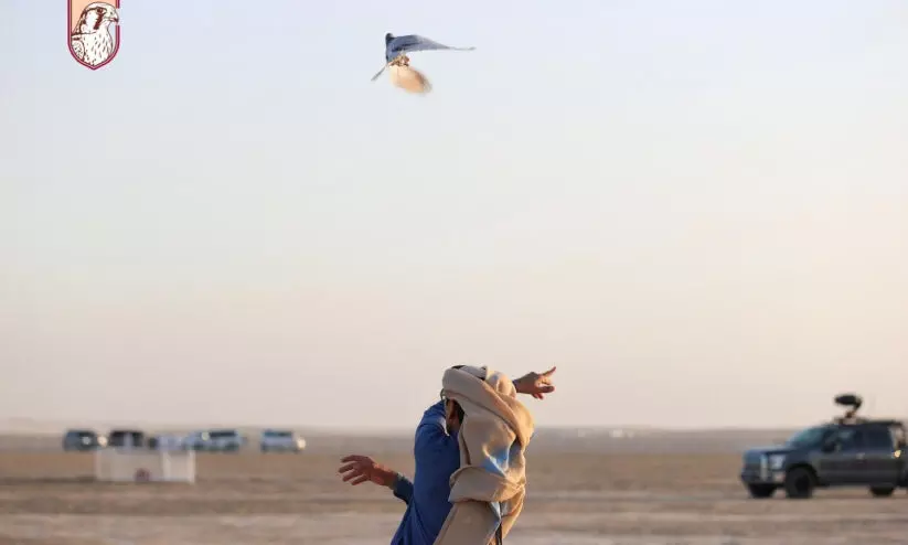 മർമി അന്താരാഷ്ട്ര ഫാൽക്കൺറി ഫെസ്റ്റിവലിന് ആവേശത്തുടക്കം മർമി അന്താരാഷ്ട്ര ഫാൽക്കൺറി ഫെസ്റ്റിവലിന് ആവേശത്തുടക്കം