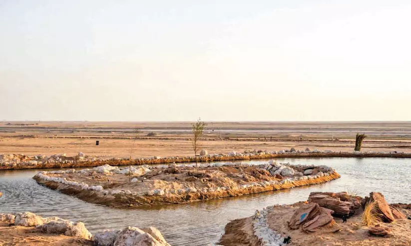 മരുഭൂമിയുടെ അത്ഭുത കാഴ്ചകളുമായി ജിയോ പാർക്ക് ഒരുങ്ങി; ബുധനാഴ്ച മുതൽ പ്രവേശനം മരുഭൂമിയുടെ അത്ഭുത കാഴ്ചകളുമായി ജിയോ പാർക്ക് ഒരുങ്ങി; ബുധനാഴ്ച മുതൽ പ്രവേശനം