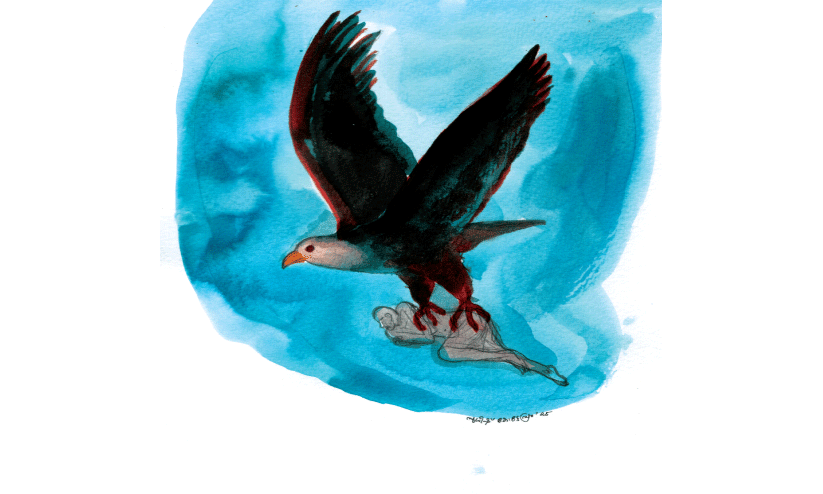 പോക്കുവെയിൽ പോക്കുവെയിൽ