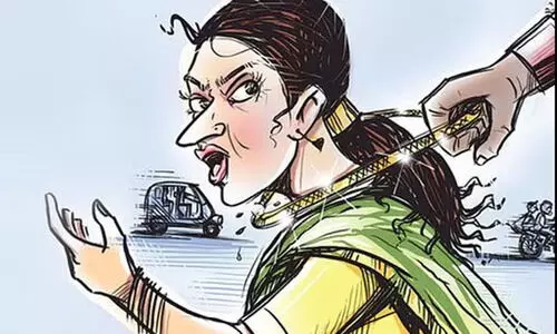 മുളകുപൊടി വിതറി വീട്ടമ്മയുടെ സ്വർണമാല പൊട്ടിച്ചു