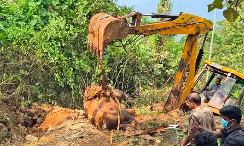 കി​ണ​റ്റി​ല്‍ വീ​ണ കാ​ട്ടാ​ന​ക്കു​ട്ടി​യു​ടെ ജ​ഡം പു​റ​ത്തെ​ടു​ത്തു