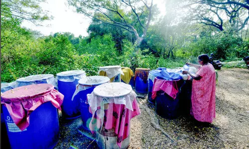 ദാഹിച്ച് തുടങ്ങി; ജില്ലയിലെ പല പ്രദേശങ്ങളും ജലക്ഷാമത്തിന്റെ പിടിയിലേക്ക് ദാഹിച്ച് തുടങ്ങി; ജില്ലയിലെ പല പ്രദേശങ്ങളും ജലക്ഷാമത്തിന്റെ പിടിയിലേക്ക്