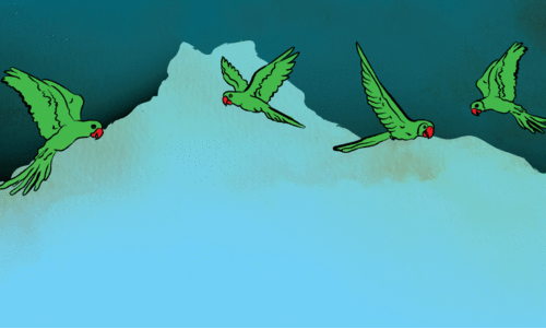 ദർബാറി ദീപിക