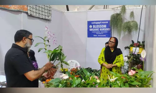 സരസ് മേളയിൽ പൂന്തോട്ടമൊരുക്കി നഴ്സറി യൂനിറ്റ്