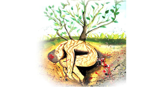 ഹരിതാനുഗ്രഹങ്ങൾ