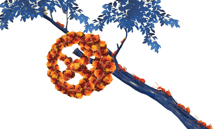 ജമന്തി ജമന്തി