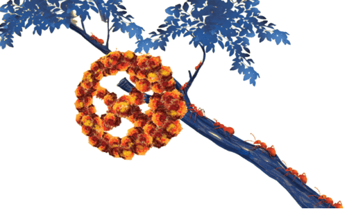 ജ​​മ​​ന്തി