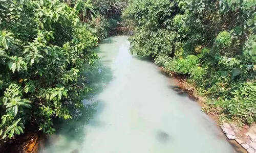 കുടിവെള്ളം എടുക്കുന്ന തോട്ടിലേക്ക്​ മലിനജലം ഒഴുക്കി