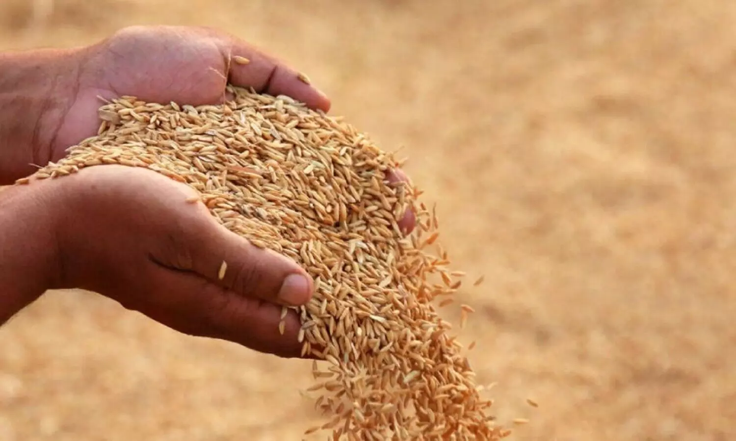 നെല്ല് സംഭരണ ചുമതല സഹകരണ സംഘങ്ങളെ ഏൽപ്പിക്കും