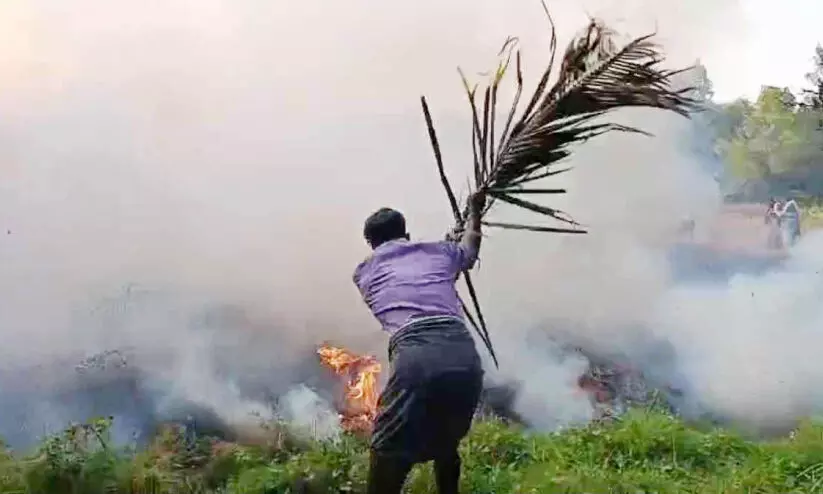കാറ്റും ഉണക്കപ്പുല്ലും; തീരദേശത്ത് തീപിടിത്തം പതിവ് കാറ്റും ഉണക്കപ്പുല്ലും; തീരദേശത്ത് തീപിടിത്തം പതിവ്