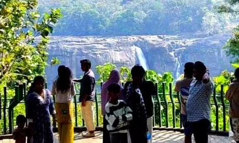 നീർച്ചാലായി അതിരപ്പിള്ളി വെള്ളച്ചാട്ടം; സഞ്ചാരികൾക്ക് നിരാശ നീർച്ചാലായി അതിരപ്പിള്ളി വെള്ളച്ചാട്ടം; സഞ്ചാരികൾക്ക് നിരാശ