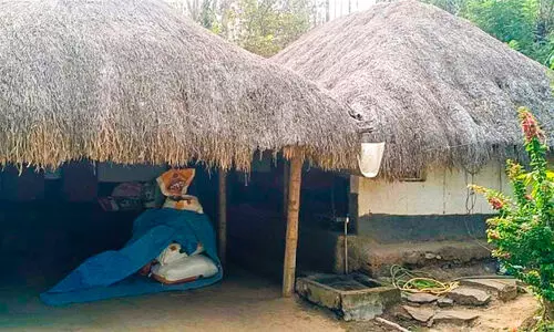 പുല്ല് മേഞ്ഞ വീടുകൾ നാടുനീങ്ങുന്നു; ചേകാടിയിൽ ഇനി രണ്ടെണ്ണം മാത്രം