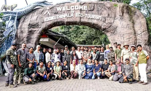 കൊടികുത്തി മലയിൽ 300ലധികം ഇനം ജീവിവർഗങ്ങൾ; റിപ്പോർട്ട് സമർപ്പിച്ചു