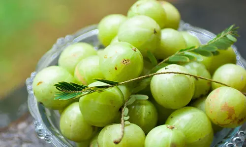 gooseberry