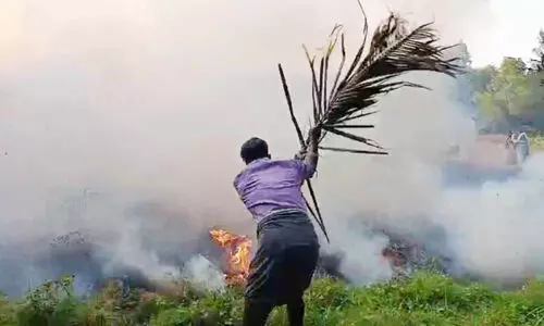 കാറ്റും ഉണക്കപ്പുല്ലും; തീരദേശത്ത് തീപിടിത്തം പതിവ്