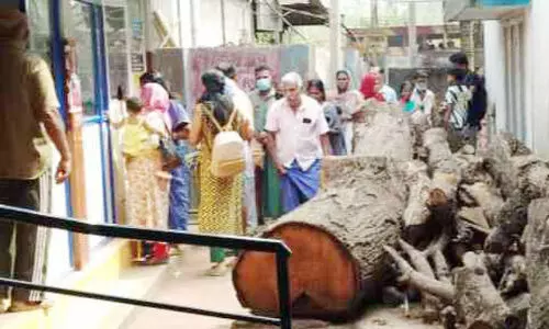 ആശുപത്രി വളപ്പിൽ കൂട്ടിയിട്ട മരക്കഷ്ണങ്ങൾ മാറ്റുന്നില്ല; രോഗികൾ ദുരിതത്തിൽ