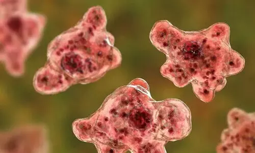 വീണ്ടും അമീബിക് മസ്തിഷ്ക ജ്വര മരണം; മരിച്ചത് കോഴിക്കോട് സ്വദേശി