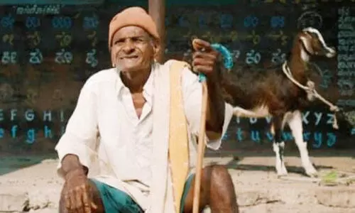 സെഞ്ച്വറി ഗൗഡ