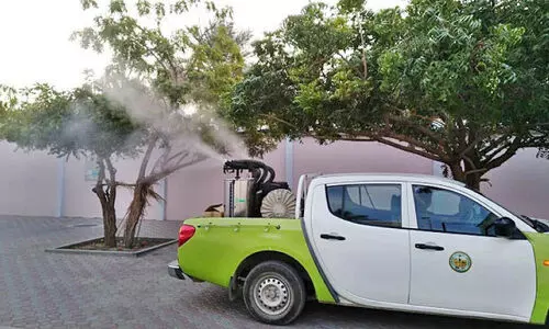 ദോഫാറിൽ കൊതുക് നിയന്ത്രണം;  സ്റ്റിയറിങ് കമ്മിറ്റി യോഗം ചേർന്നു