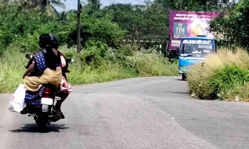 കാഴ്ച മറച്ച് പാഴ്ചെടികൾ; വാഹനാപകടങ്ങൾ വർധിക്കുന്നു